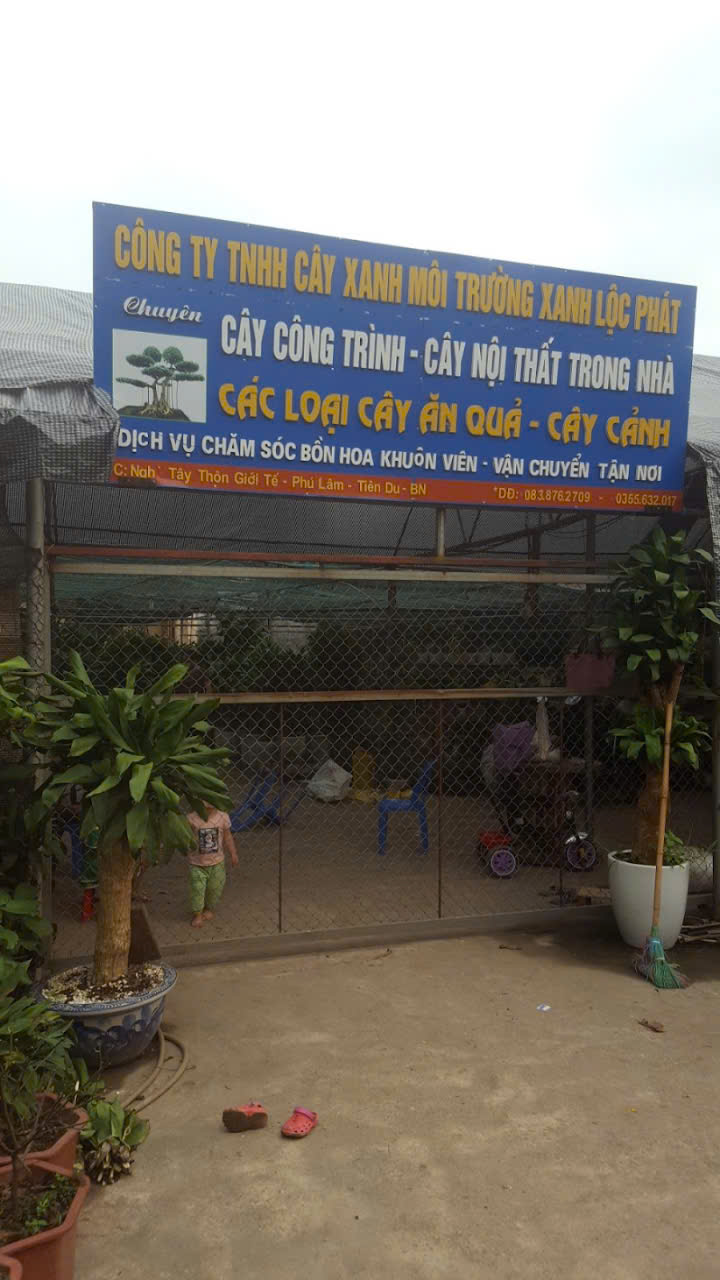 Cây Xanh Môi Trường Xanh Lộc Phát Loan Lĩnh