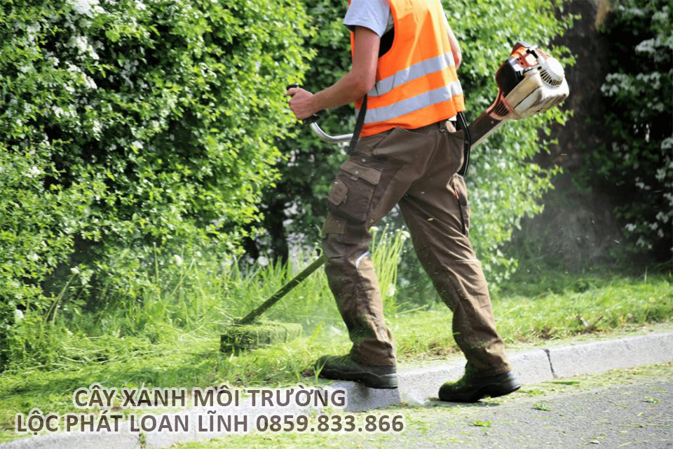 Bảo dưỡng và chăm sóc cây xanh