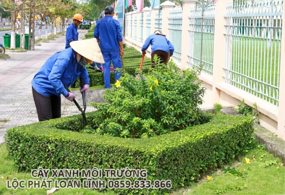 Đội ngũ kiến trúc sư, kỹ sư cảnh quan với nhiều năm kinh nghiệm trong lĩnh vực thiết kế và thi công khuôn viên cây xanh.