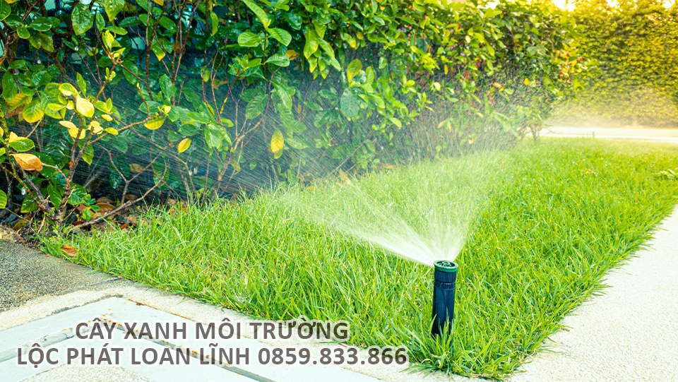 Cây xanh được tưới nước tự động trong khuôn viên đô thị