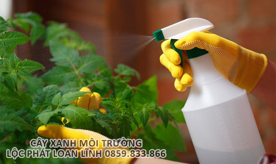 Phòng và trị sâu bệnh cho cây xanh bằng phương pháp sinh học