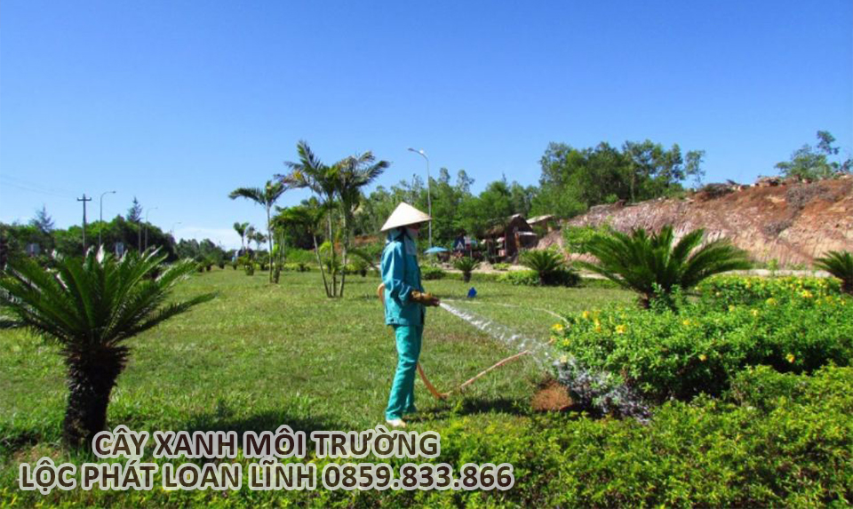 Đội ngũ thi công dịch vụ cây xanh của Lộc Phát Loan Lĩnh