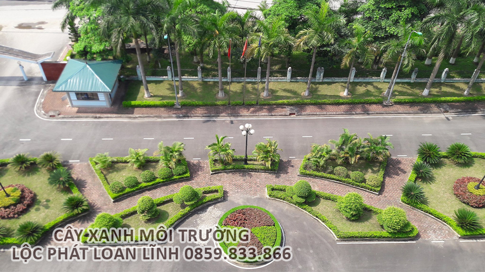 Khuôn viên cây xanh sau khi được bảo dưỡng sạch sẽ, gọn gàng