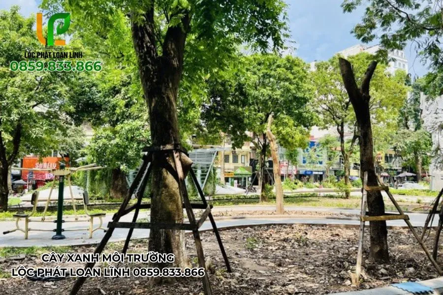 Dịch vụ dựng cây do bão tại Bắc Ninh triển khai đồng loạt
