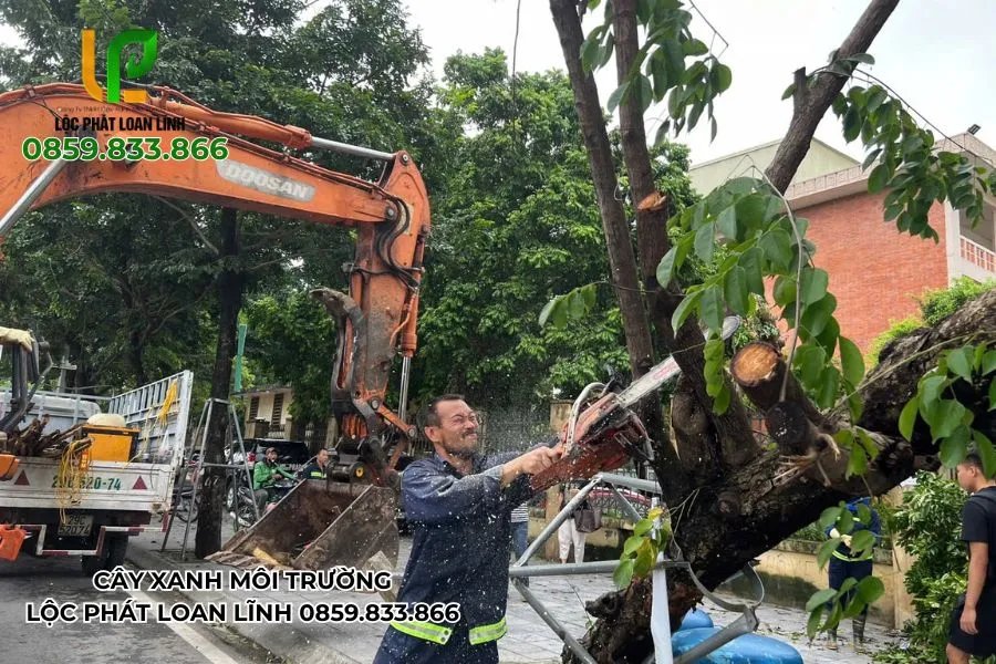 Dựng cây do bão tại khu đô thị Bắc Ninh
