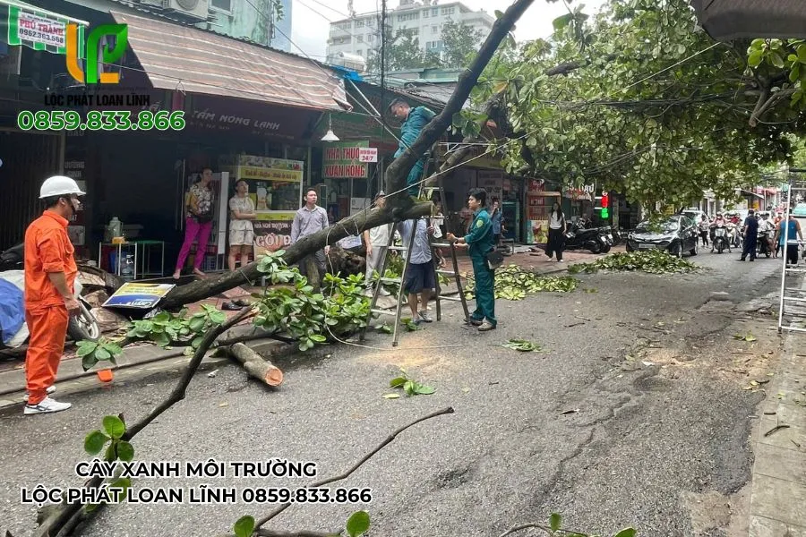 Dựng cây xanh gãy đổ tại tuyến đường trung tâm Bắc Ninh