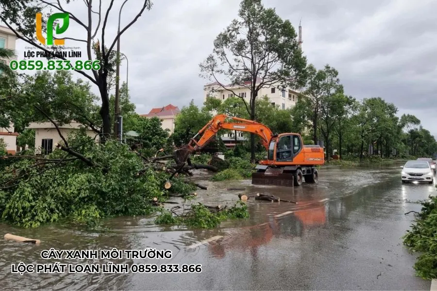 Thi công dựng cây xanh bị đổ sát lề đường tại Bắc Ninh