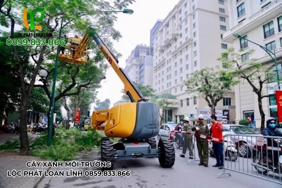 Tổng vệ sinh và dựng cây xanh đồng bộ sau cơn bão lớn