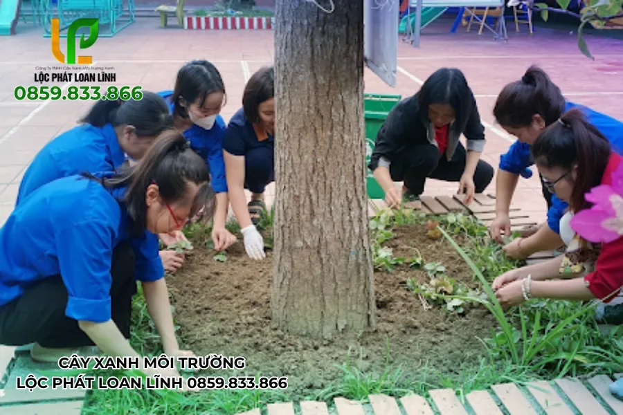 Tình nguyện viên hỗ trợ chăm cây vào kỳ nghỉ