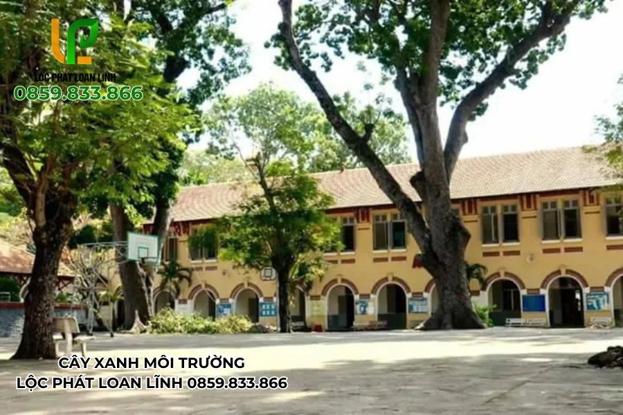 Không Gian Học Đường Xanh – Từ Biện Pháp Đến Hành Động