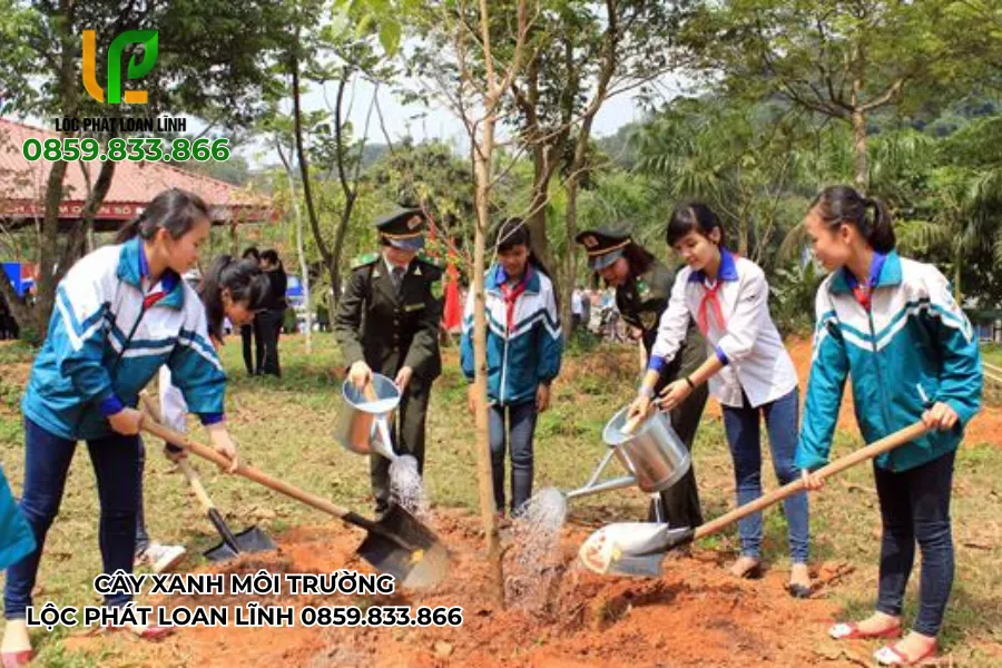 Học Sinh Chủ Động Đề Xuất Biện Pháp Giữ Gìn Cây Xanh