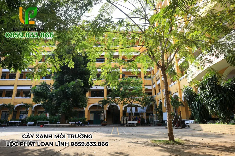 Không gian học tập yên tĩnh và mát mẻ hơn nhờ cây xanh