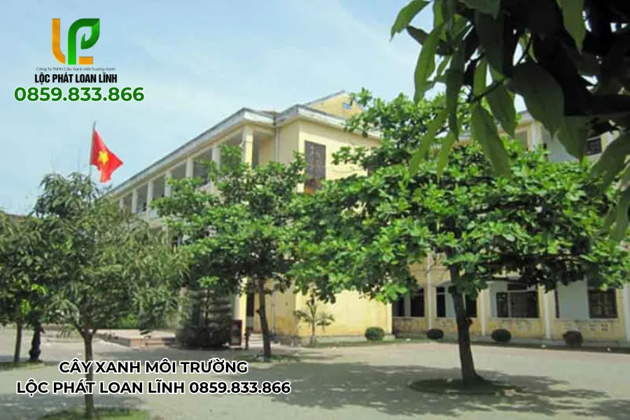 Cây xanh giúp hạn chế khói bụi và tiếng ồn từ đường phố