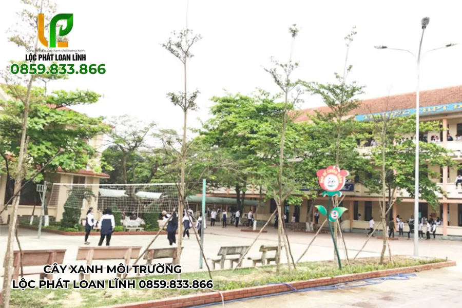 Toàn trường cùng hành động vì màu xanh học đường