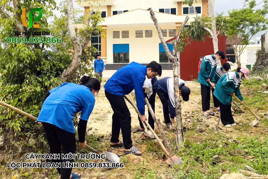Tổng Quan Các Biện Pháp Bảo Vệ Cây Xanh Trong Trường Học