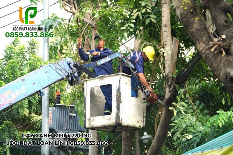 Quy Trình Cắt Cây Do Ảnh Hưởng Bão Chuyên Nghiệp, An Toàn Tại Bắc Ninh