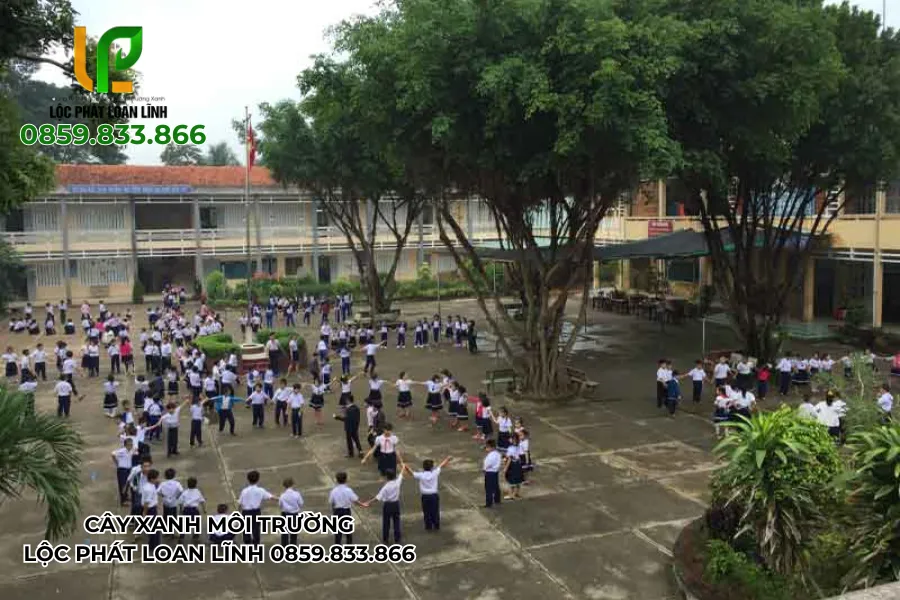 Học sinh sinh hoạt dưới bóng cây sân trường