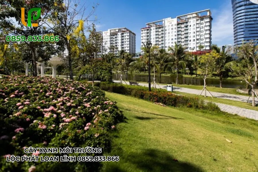 Trường học thân thiện môi trường với hệ cây bóng mát